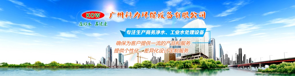 公司實力001